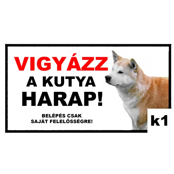 K1