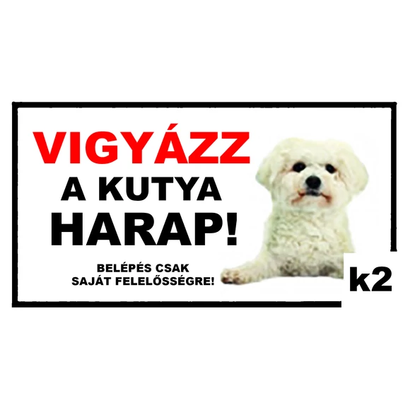K2